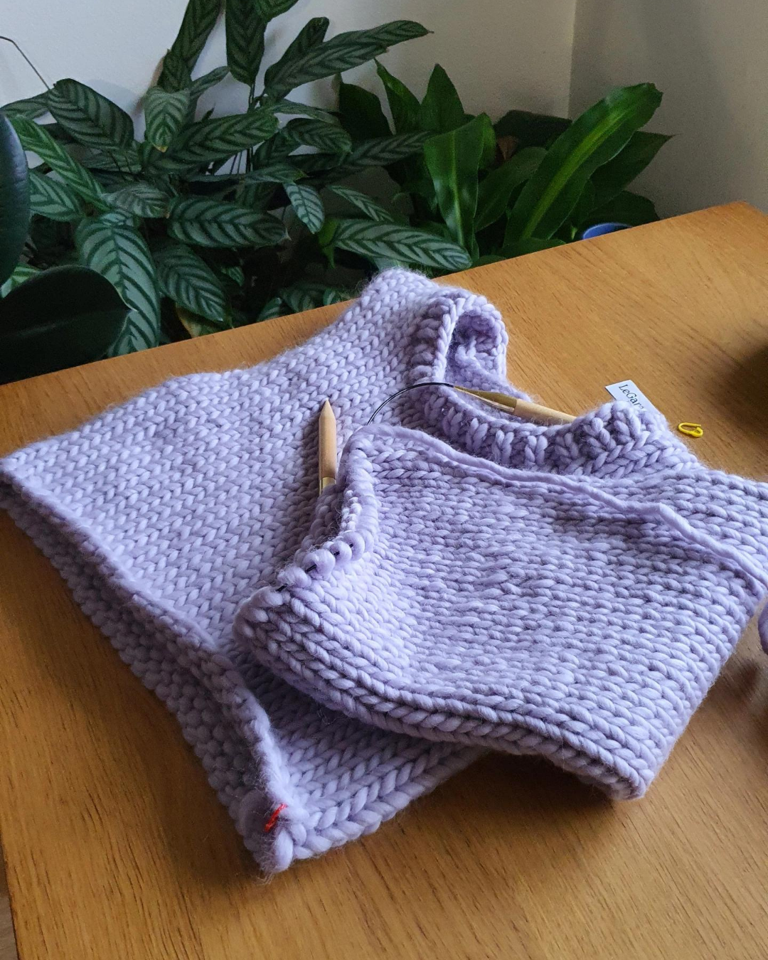 Le Pull à manches longues
